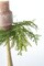 14" Faux Cedar Candle Ring (Fits up to a 3" Pillar Candle) CR1
